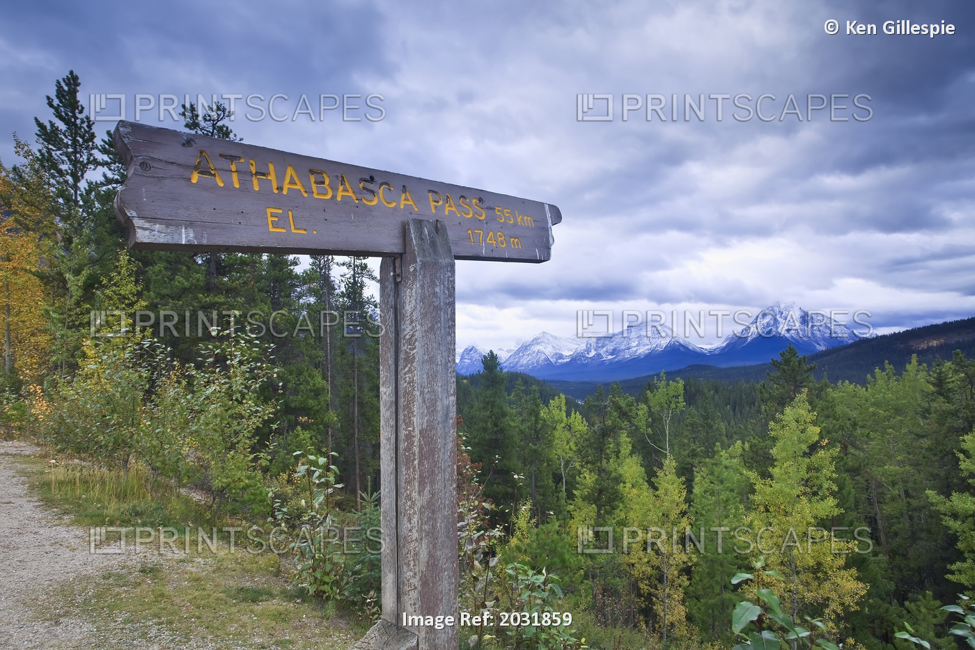 Athabasca Pass Signpost On Icefields Parkway, Athabasca Valley In Distance, ...
