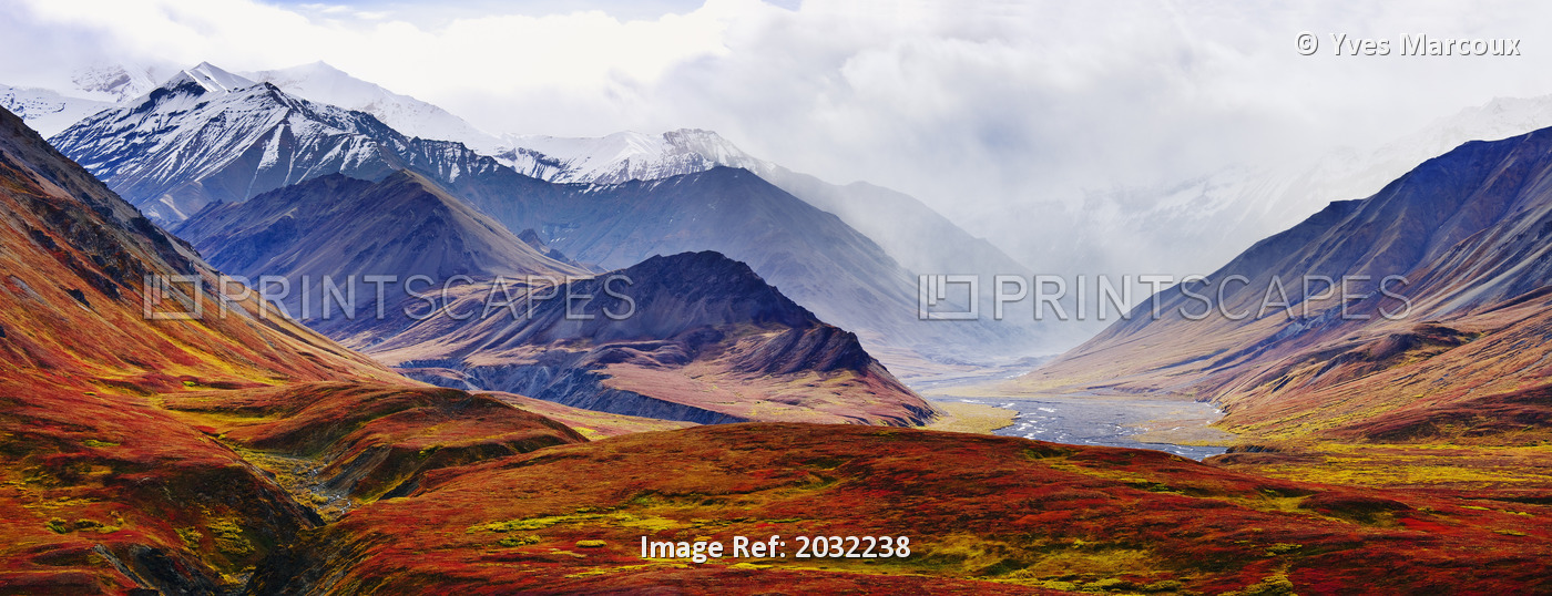 Fall Colours And Alaska Range, Denali National Park, Alaska