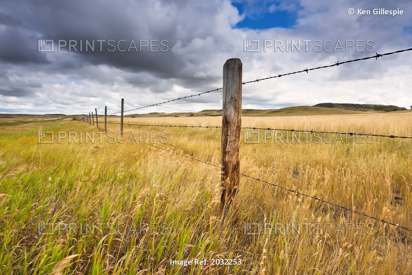 Pasture And Fence On Canadian Prairie, Big Muddy Badlands, Saskatchewan