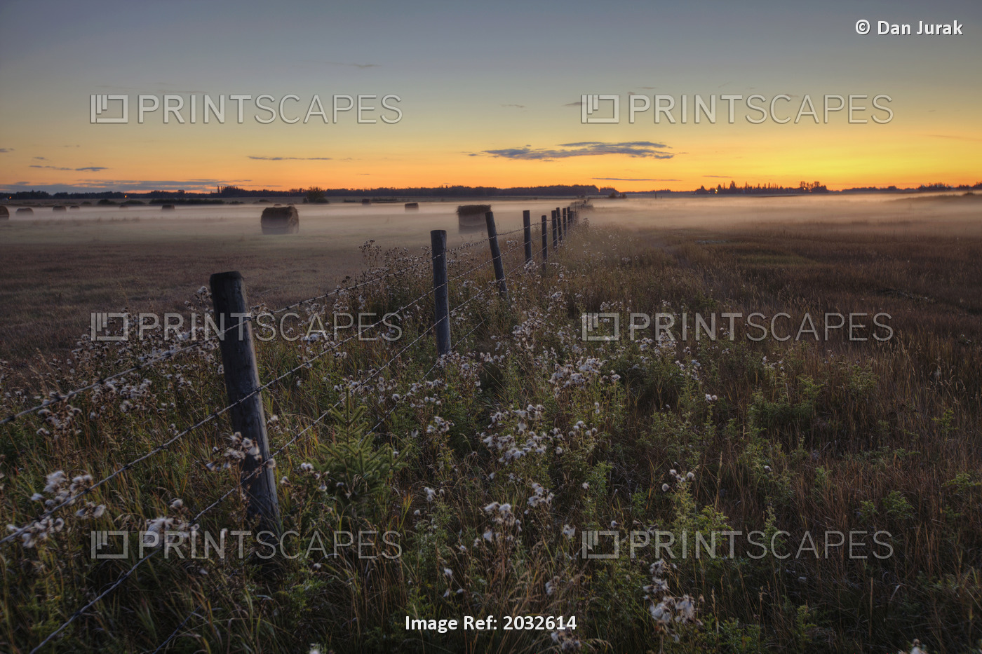 Summer Sunset Over Mist-Covered Pasture, Central Alberta