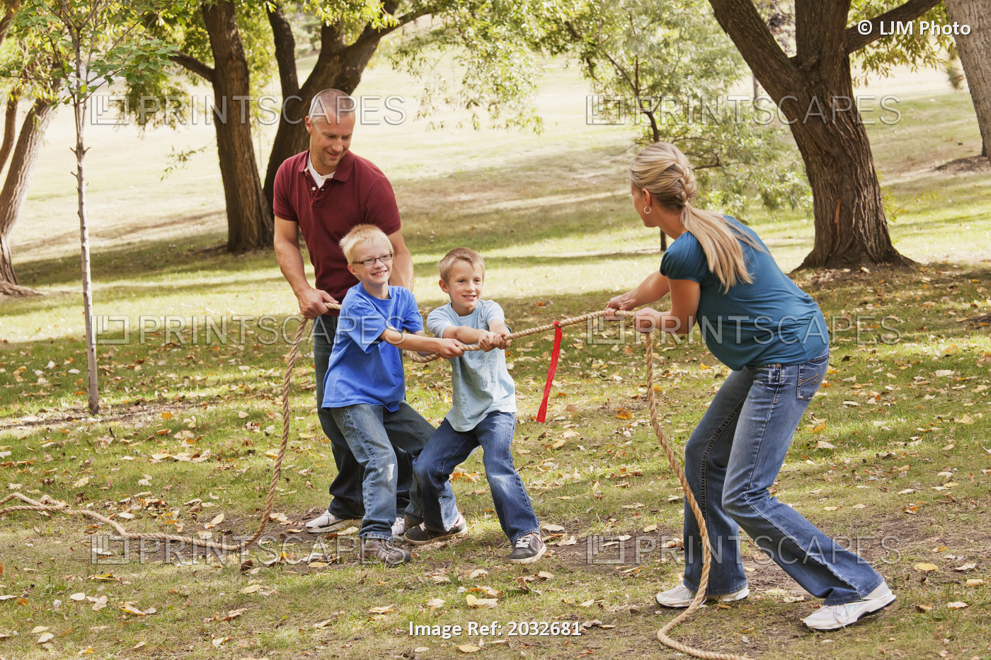 Mother Playing Tug Of War Against Husband And Sons; Edmonton, Alberta, Canada