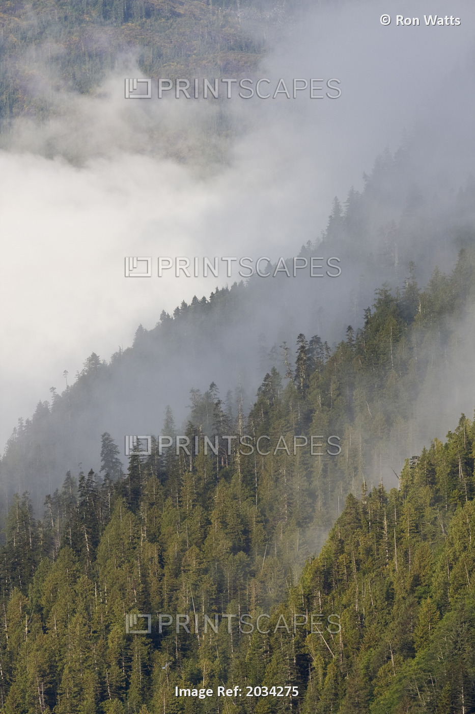 Thick Clouds Cover Mountains, Mussel Inlet, Great Bear Rainforest, British ...
