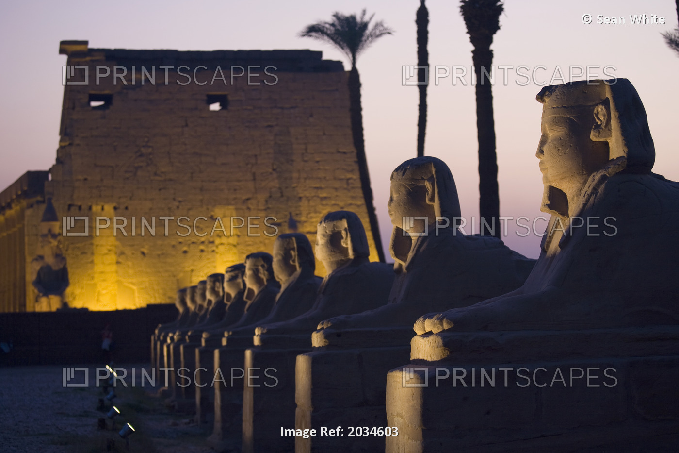 Stone Statues And The Luxor Temple On The East Bank Of Luxor Along The Nile ...