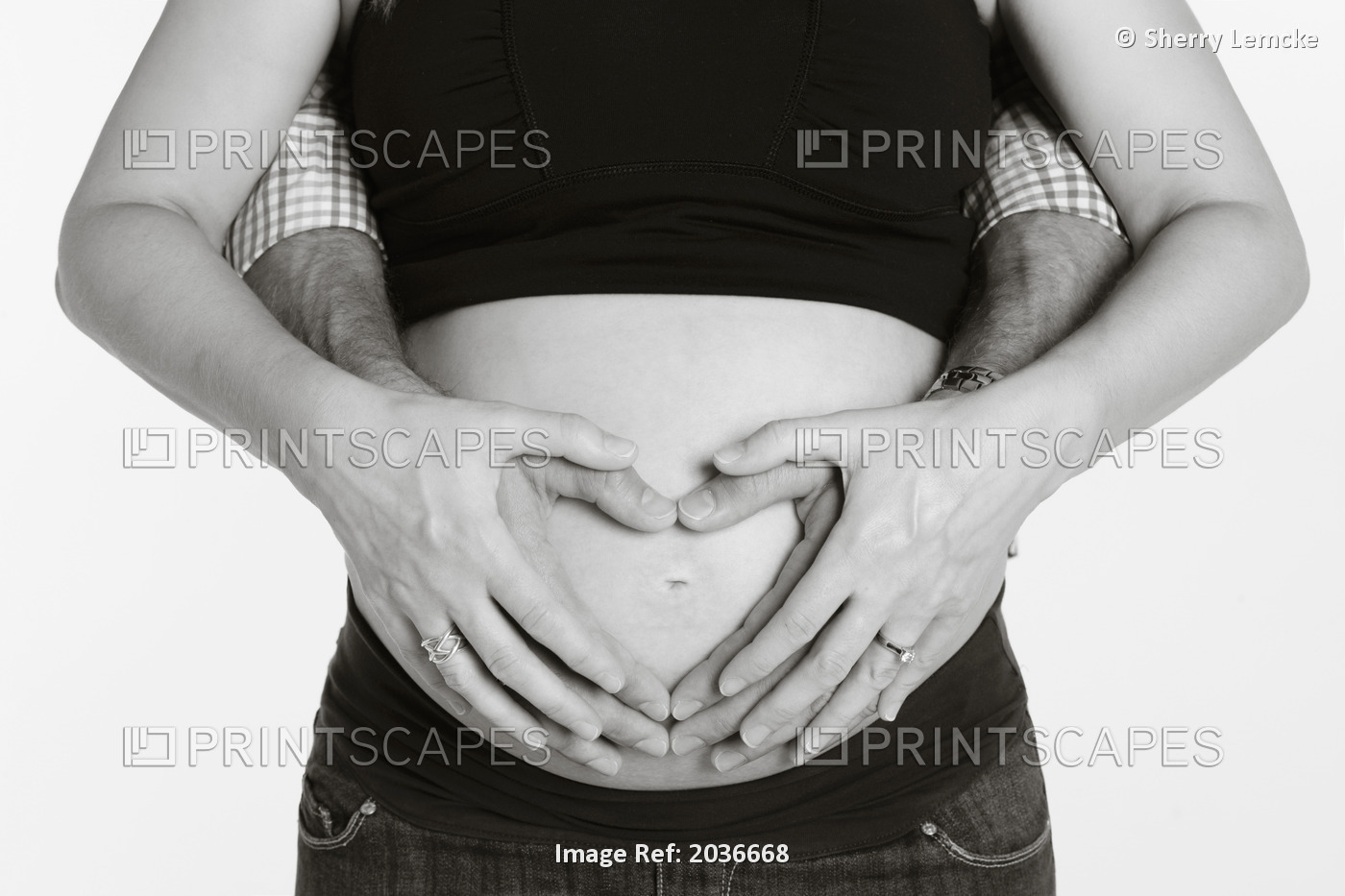 Black And White Studio Shot On White Of A Pregnant Belly With Mom And Dads ...