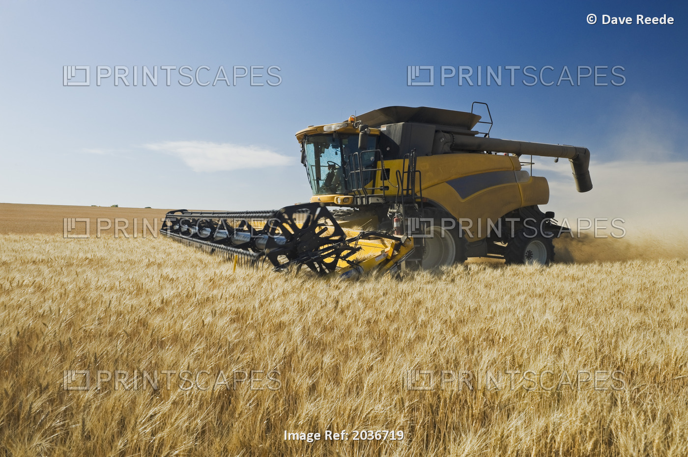 A Combine Harvests Durum Wheat Near Ponteix, Saskatchewan, Canada