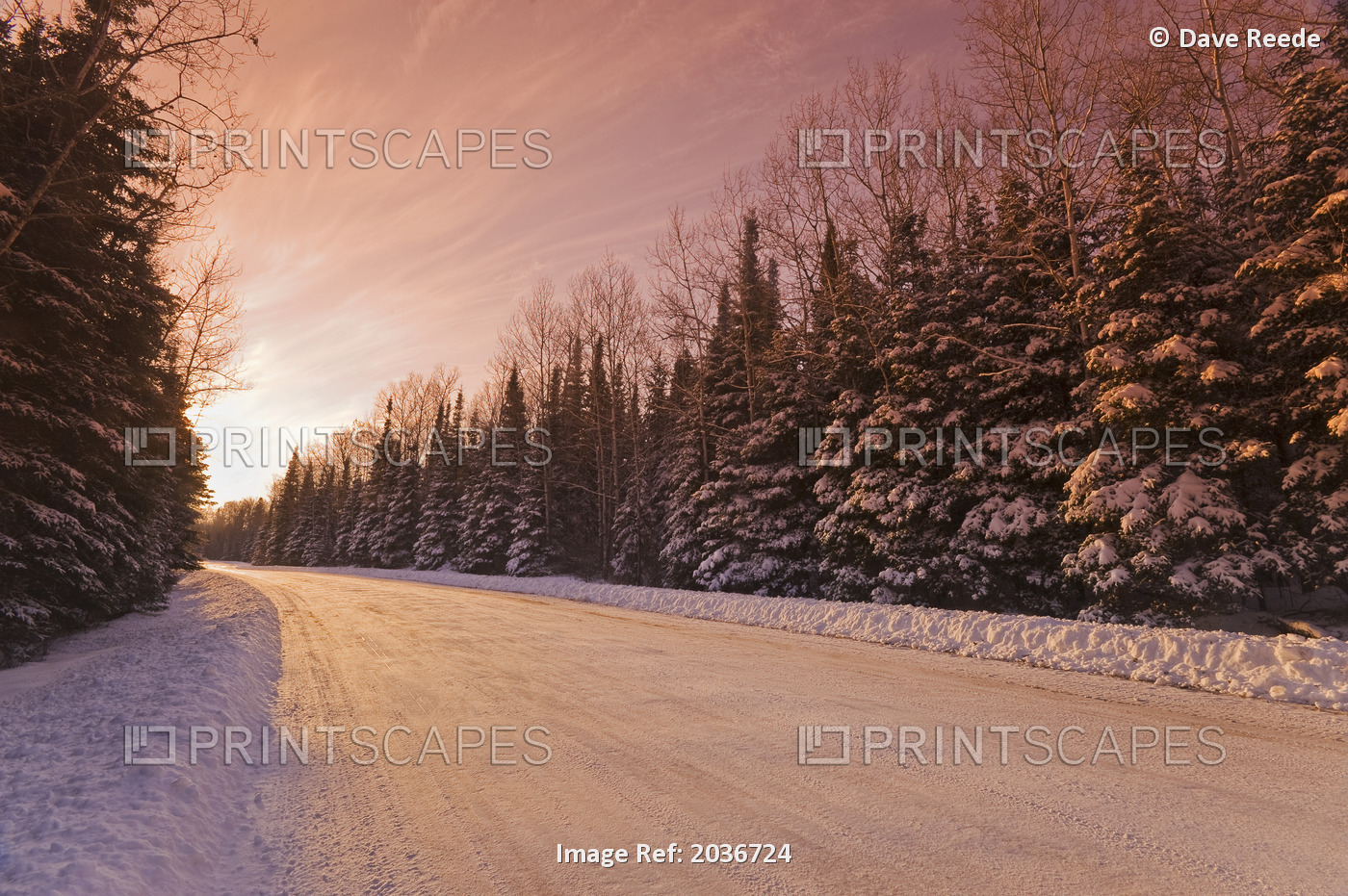 A Truck On A Road In Winter, Whiteshell Provincial Park, Winnipeg, Manitoba, ...