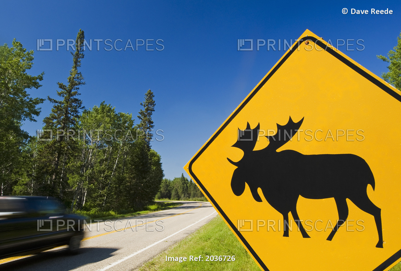 Moose Road Sign And Passing Truck, Riding Mountain National Park, Manitoba, ...