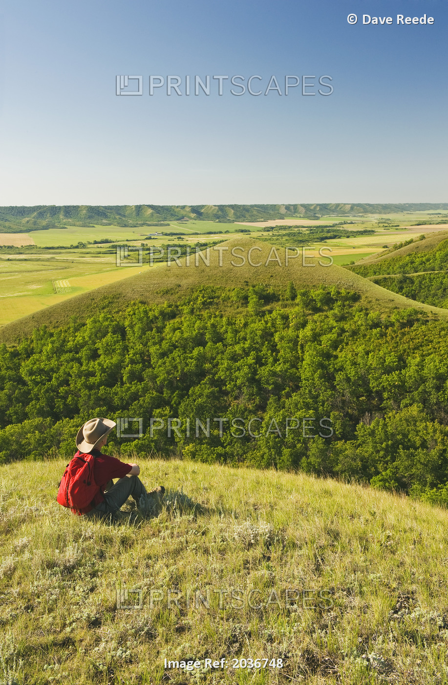 A Hiker Looks Out Over Eroded Hills, Qu'appelle River Valley, Saskatchewan, ...