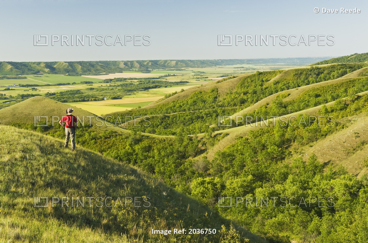 A Hiker Looks Out Over Eroded Hills In The Qu'appelle River Valley, ...