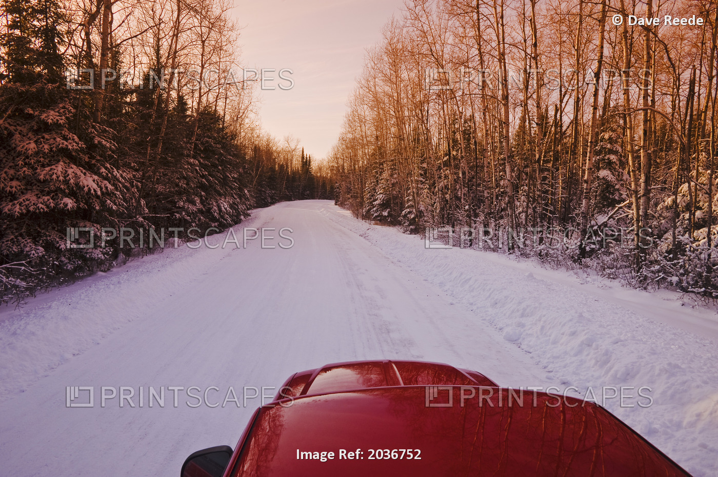 A Truck On A Road In Winter, Whiteshell Provincial Park, Winnipeg, Manitoba, ...