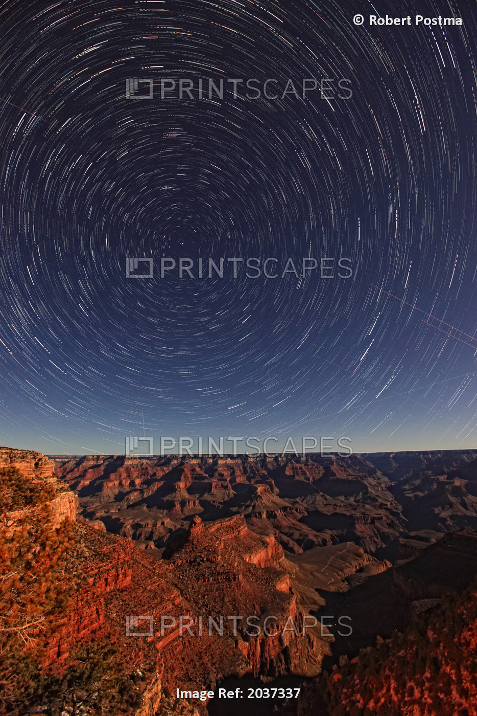 Star Trails Over The Grand Canyon, Arizona.