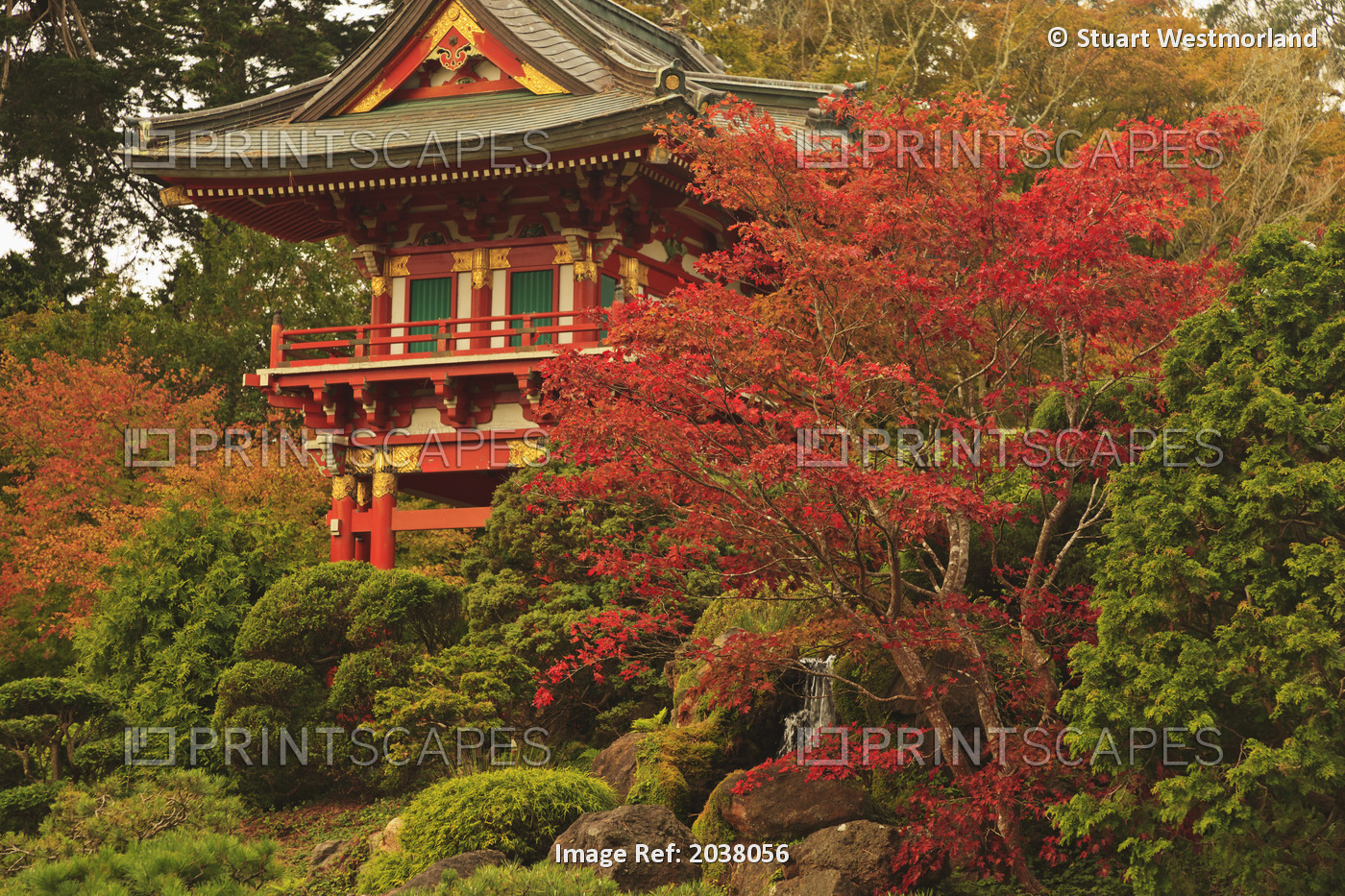 Japanese Tea Garden In Golden Gate Park; San Francisco California United States ...