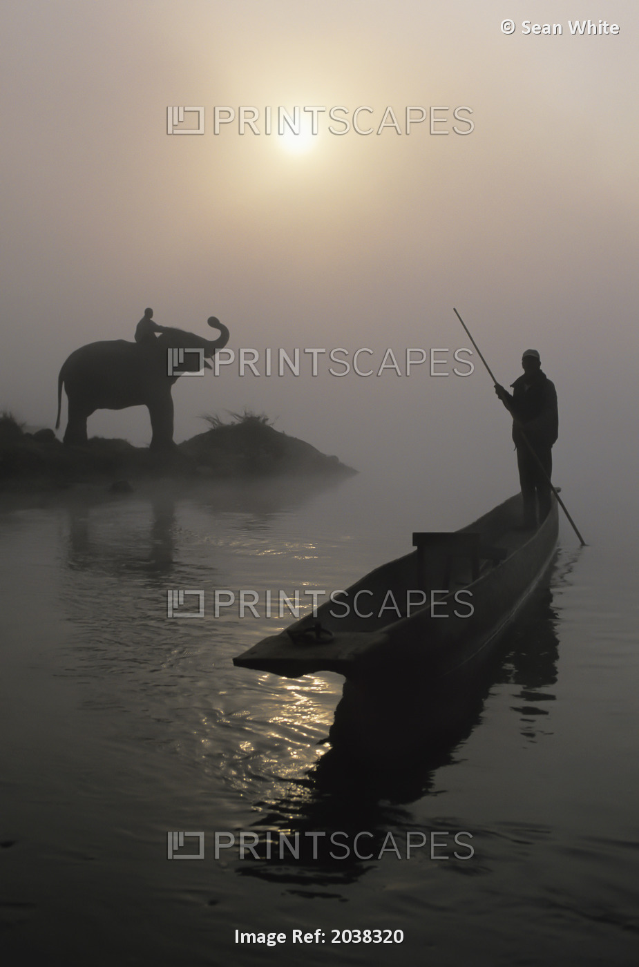 An Elephant With Its Mahout Stand At The Edge Of The Rapti River Near Sauraha ...