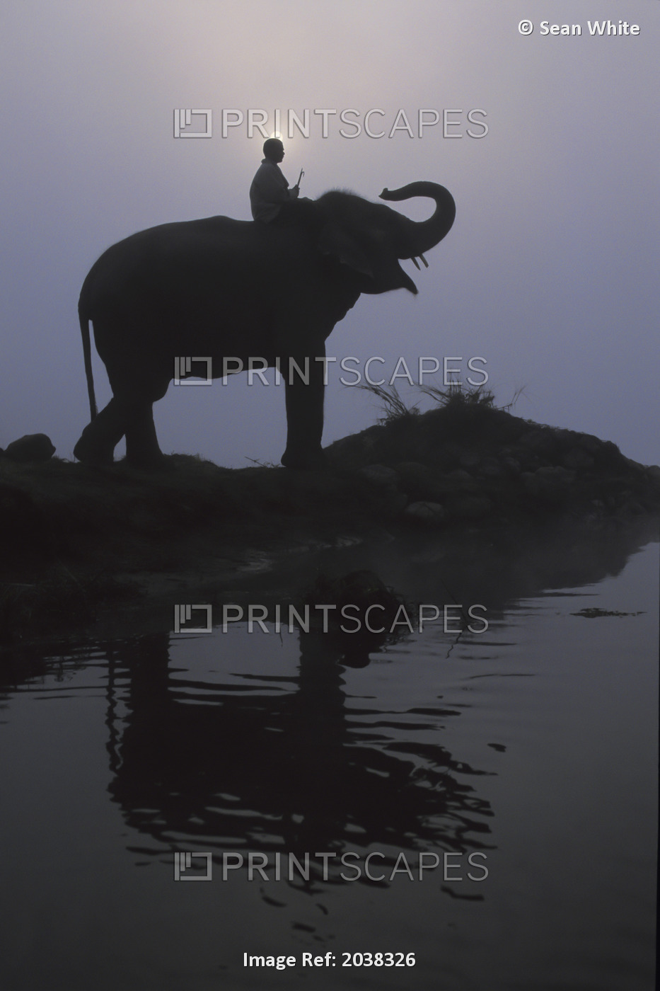 An Elephant With Its Mahout Stand At The Edge Of The Rapti River Near Sauraha ...