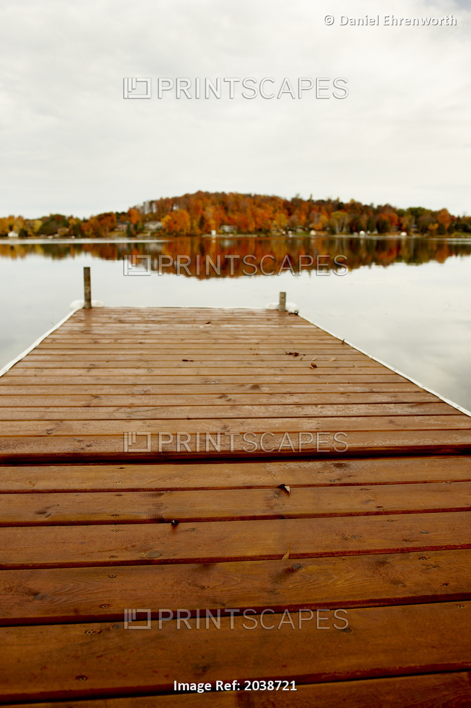 Dock With Fall Trees In The Distance, Peterborough, Ontario