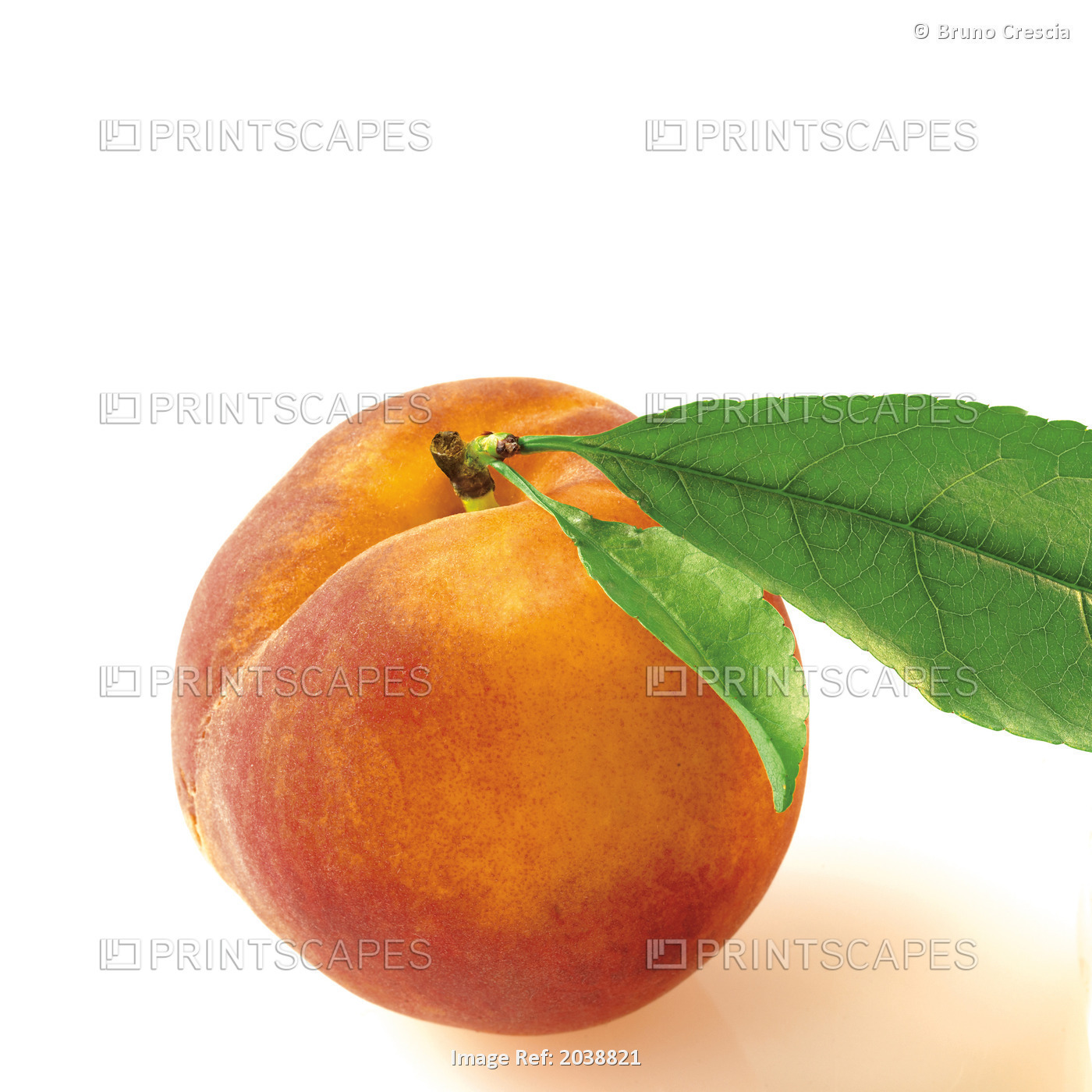 Peach On A White Background