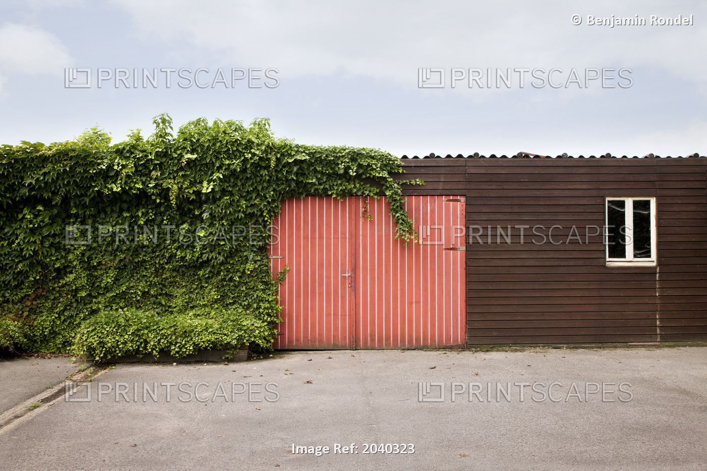 Red Door And Ivy On A Wooden Storage Structure