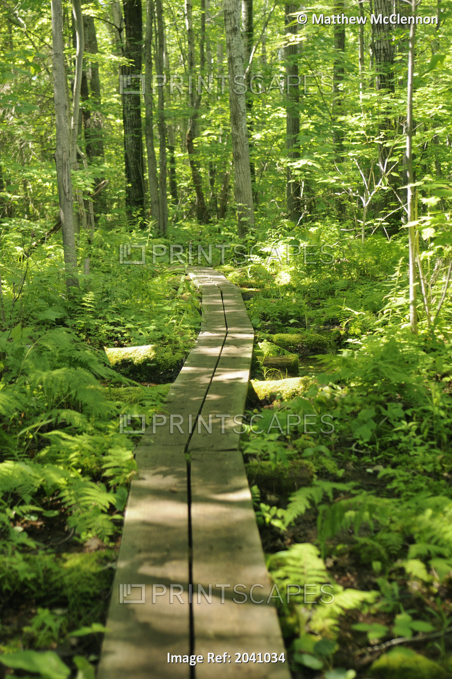 Chikanishing Trail, Killarney Provincial Park, Ontario