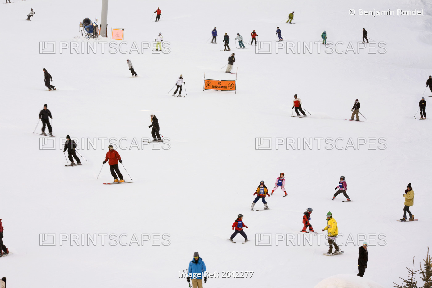 Skiers On A Hill, Whistler, British Columbia