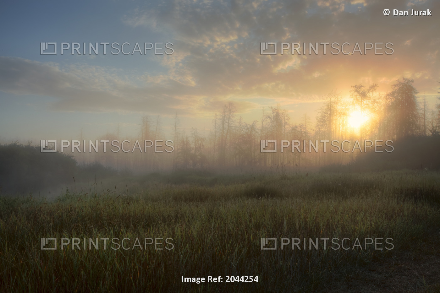 A Summer Sunrise On The Edge Of A Forest Fire Burn In Central Alberta