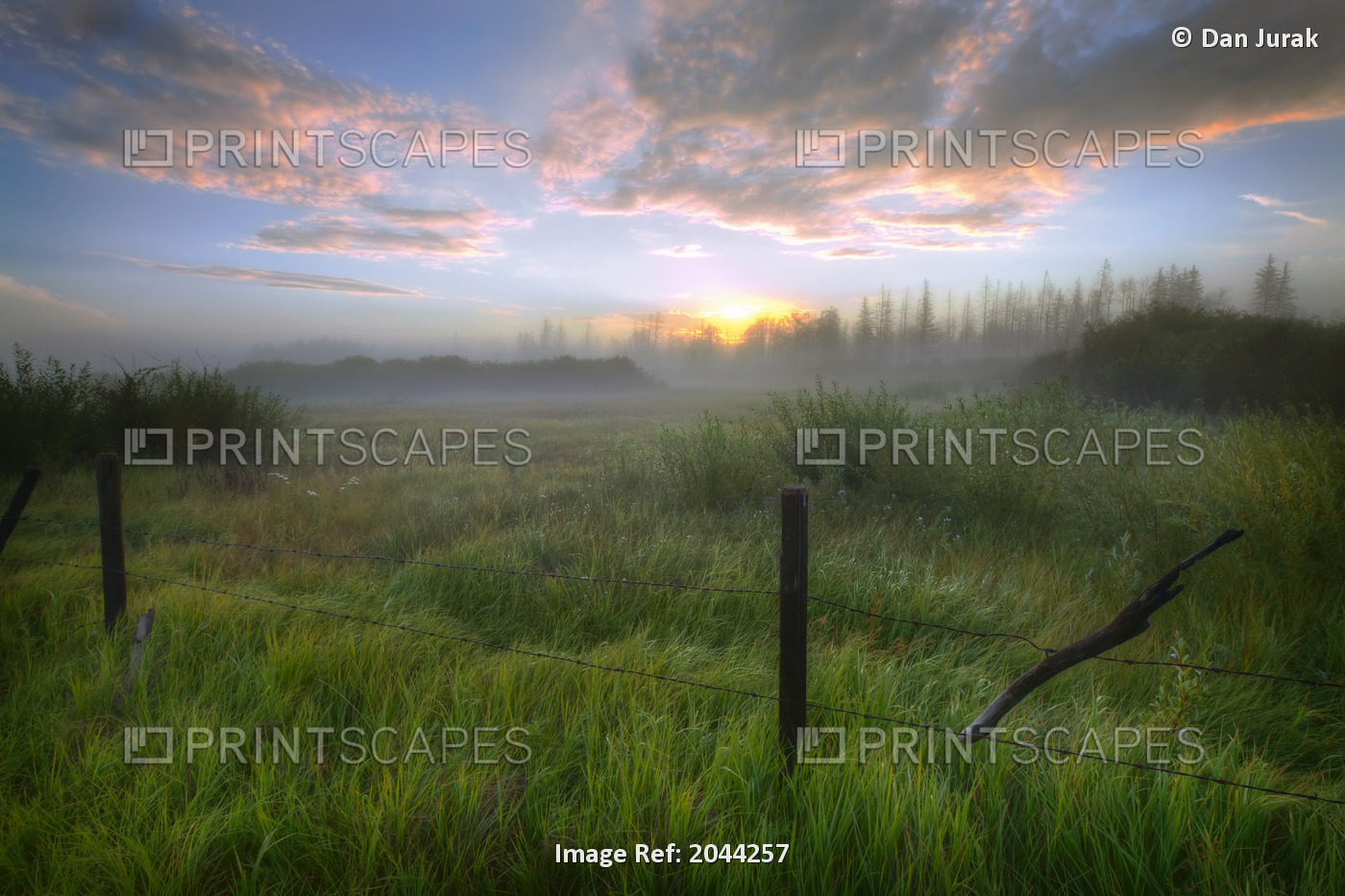 Sunrise And Barbed Wire Fence On A Summer Pasture In Central Alberta