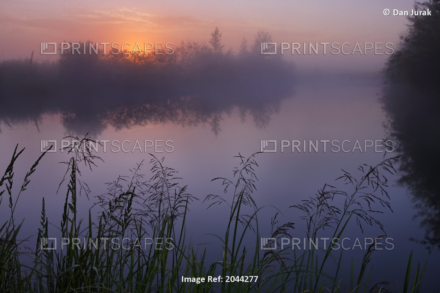 A Foggy Summer Sunrise On A Prairie Pond In Central Alberta