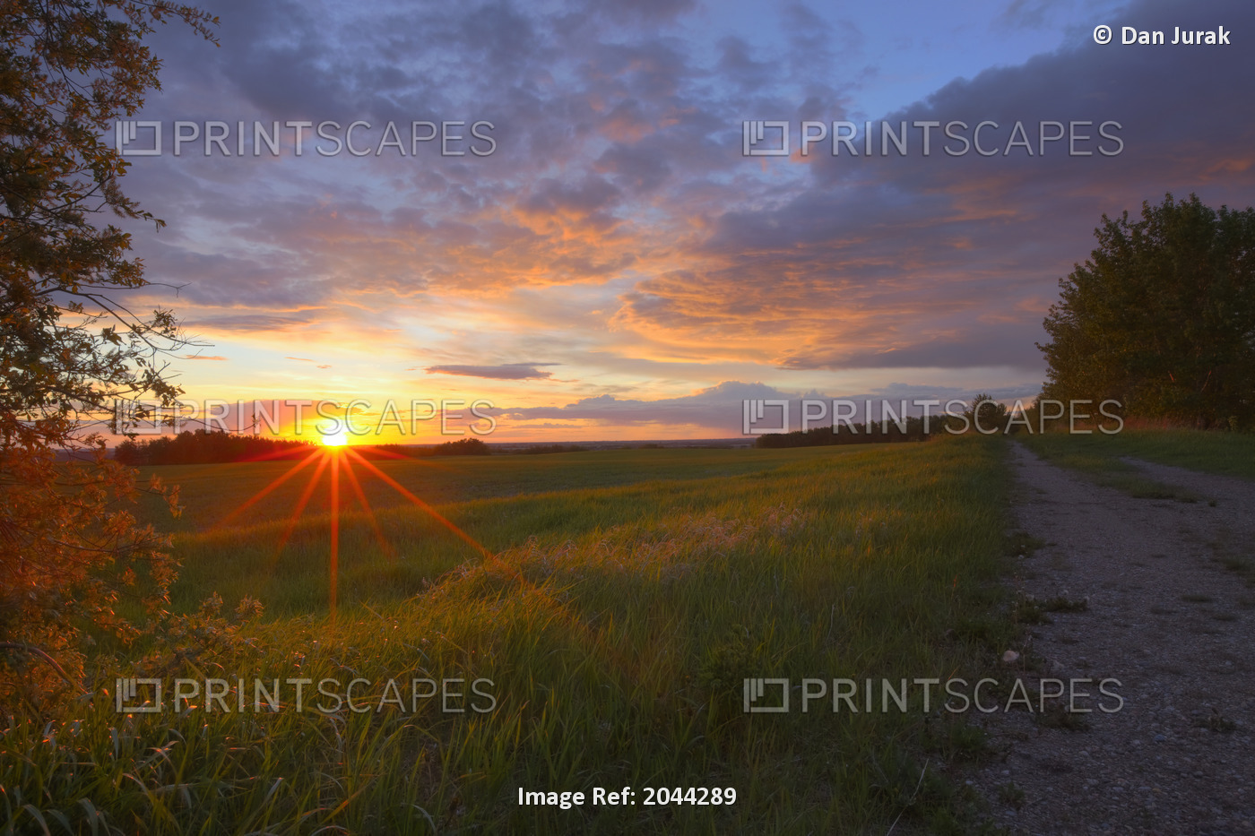 Sunset On The Rolling Hills Of The Prairies Of Alberta