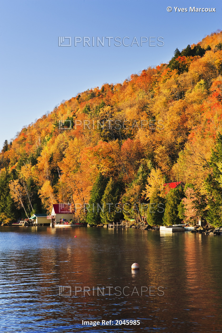 Cottage And Fall Colours At Memphremagog Lake At Sunrise, Eastern Townships, ...
