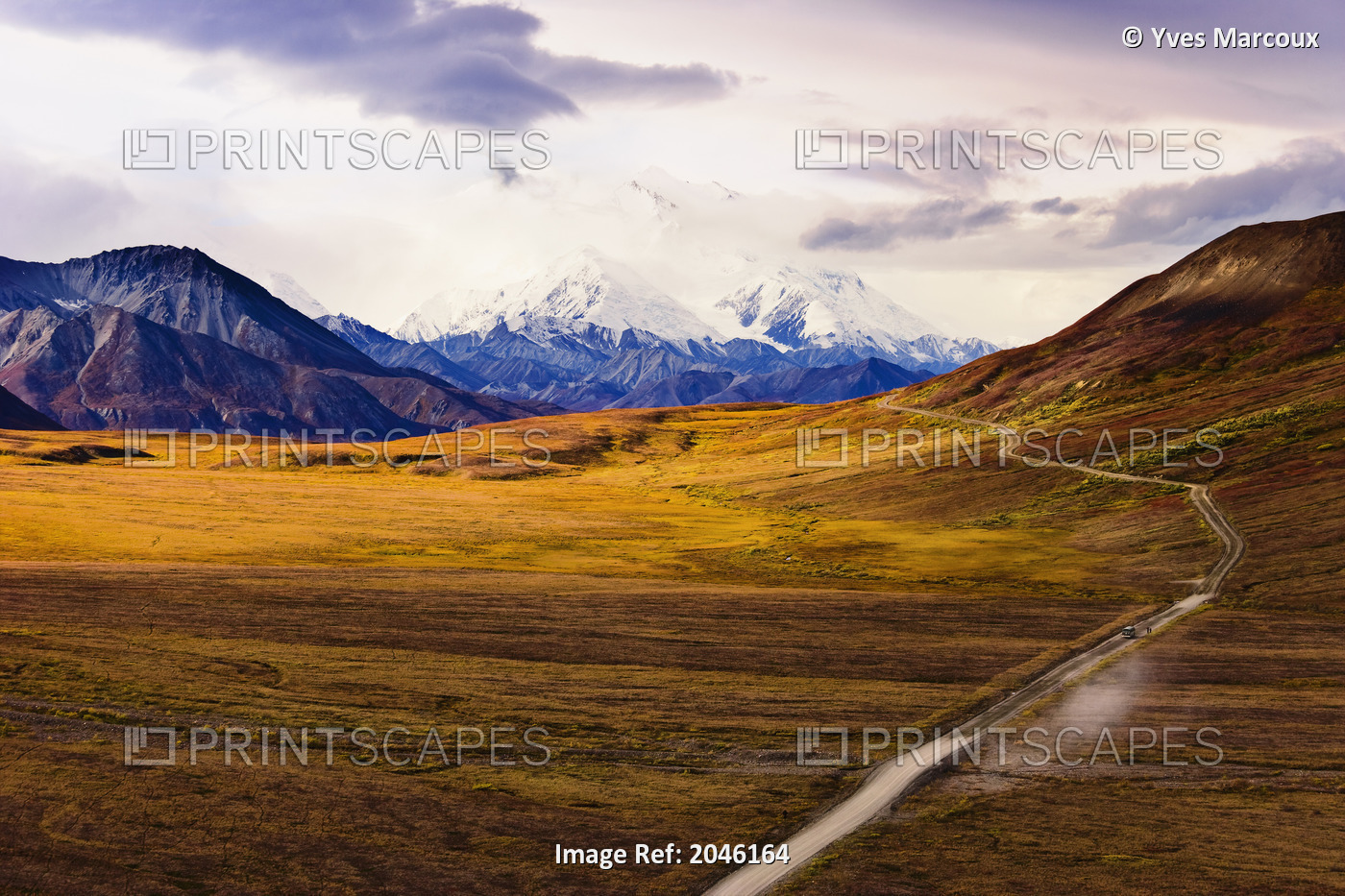 Park Road And Mount Mckinley, Denali National Park, Alaska