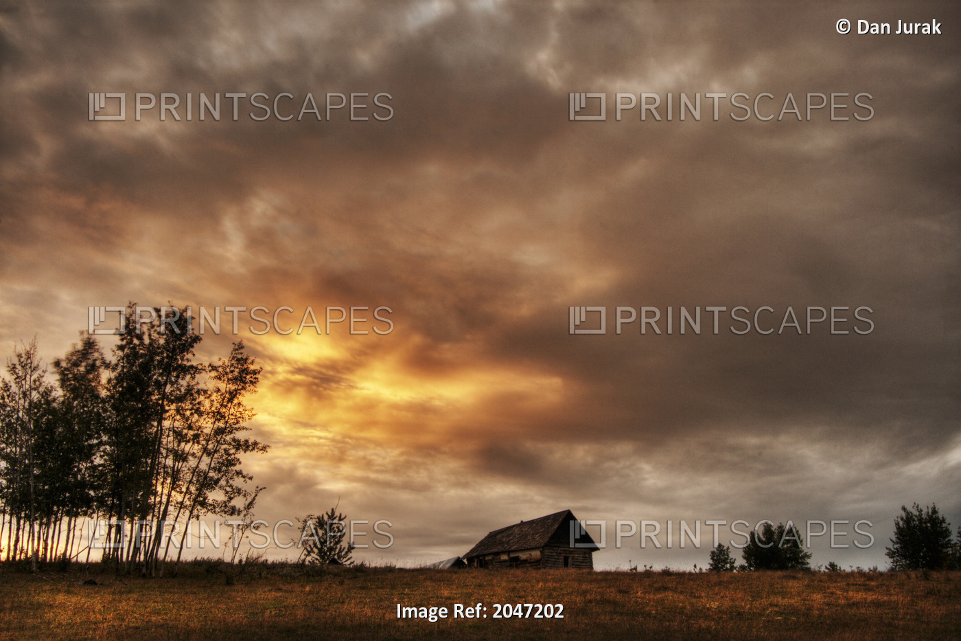 An Old Abandoned Homestead On A Hill During A Fall Sunset North Of Bon Accord, ...