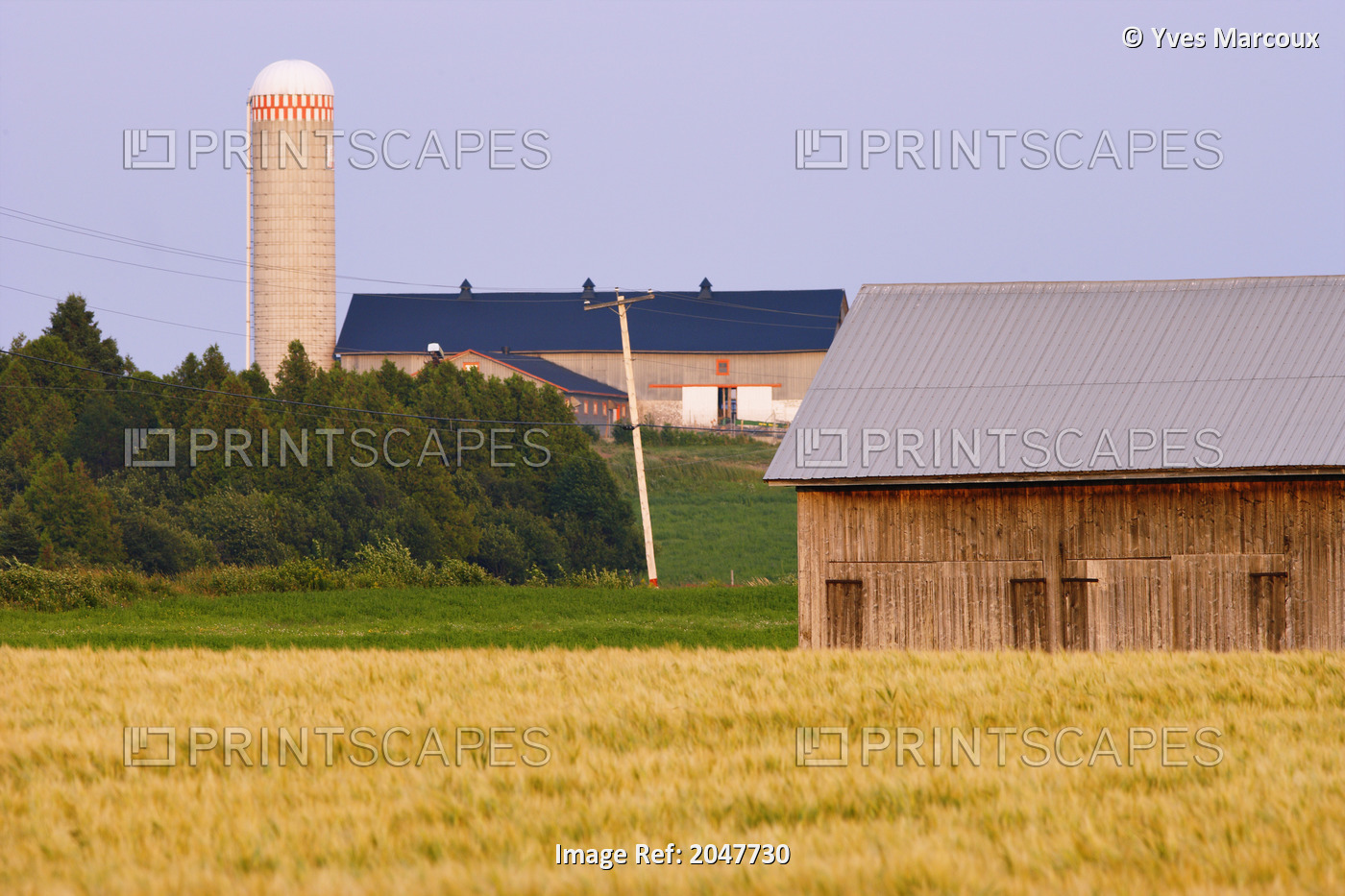 View Of Farm, Bas-Saint-Laurent Region, Saint-Germain De Kamouraska, Quebec