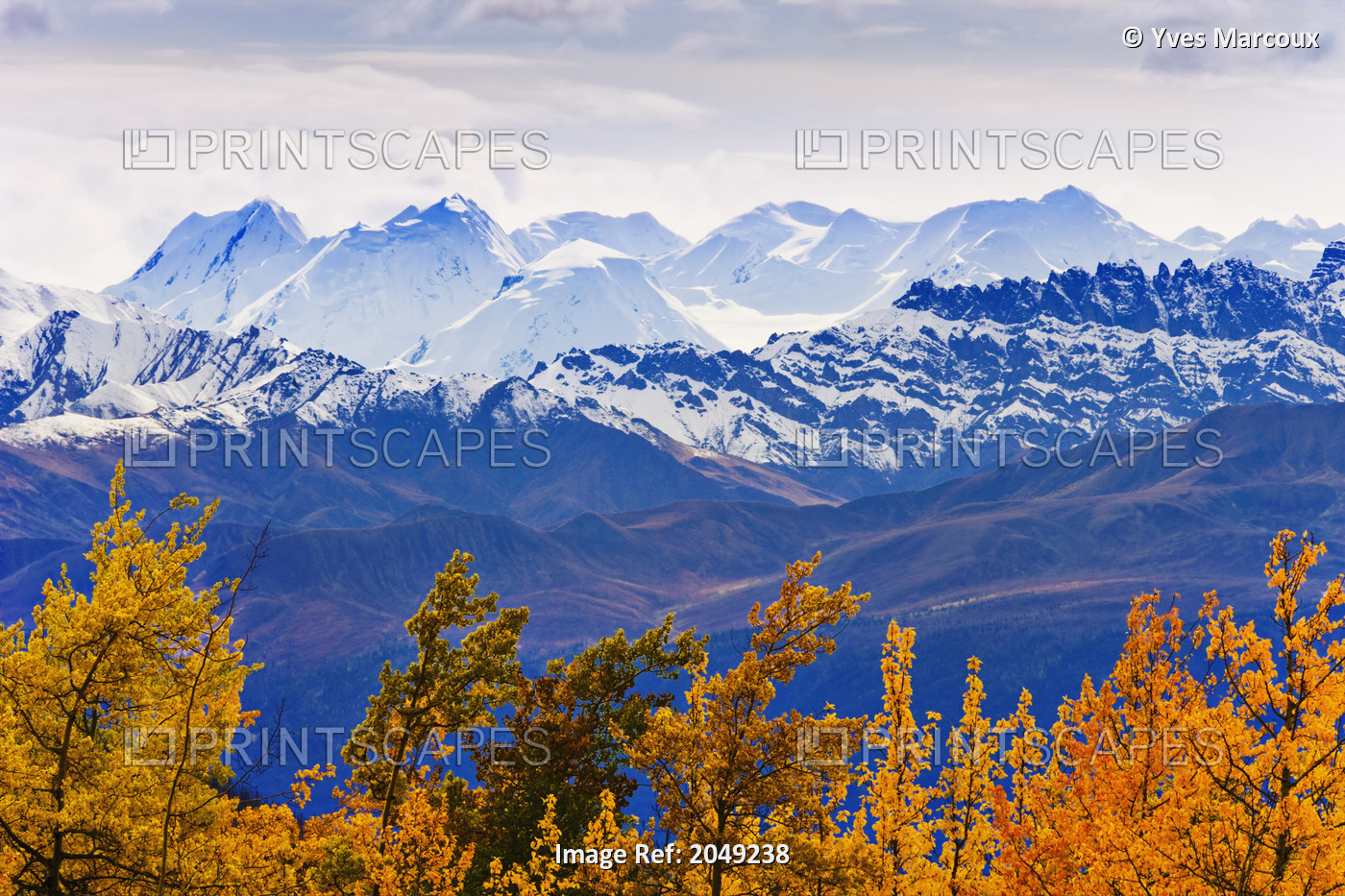 Artist's Choice: Fall Colours And Mountains Of Kluane National Park, Along ...