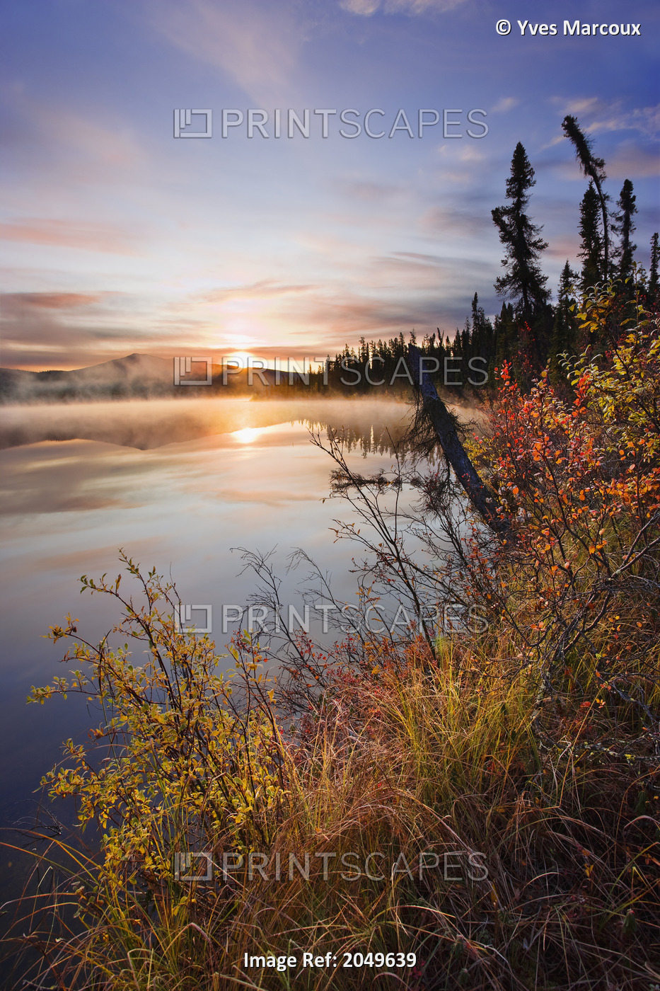 Artist's Choice: Mist Over Lake At Sunrise, Northern British Columbia