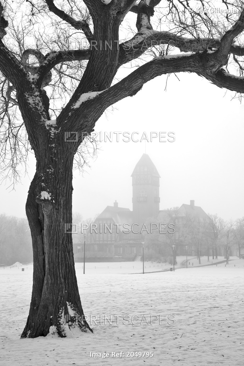 Foggy Winter Day, Assiniboine Park And Pavilion, Winnipeg, Manitoba