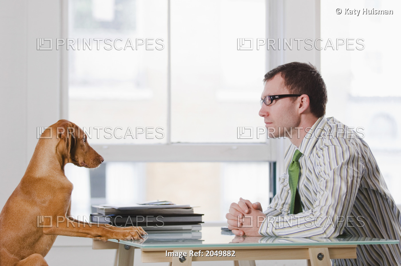 Businessman At A Desk With His Dog