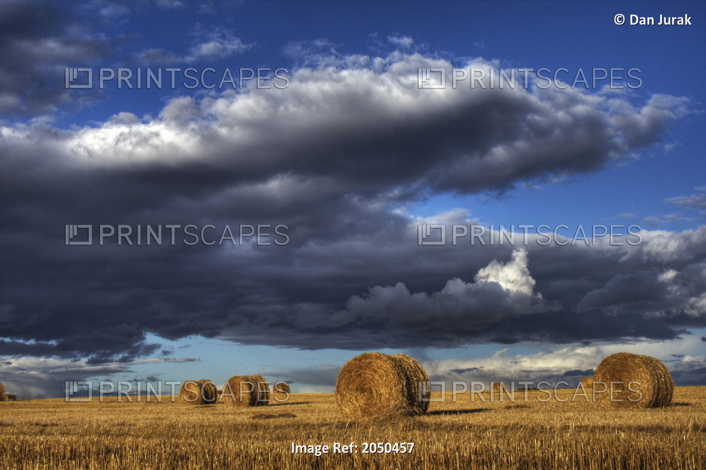 Hay Bales Under Cumulus Clouds In Autumn, Rural Alberta