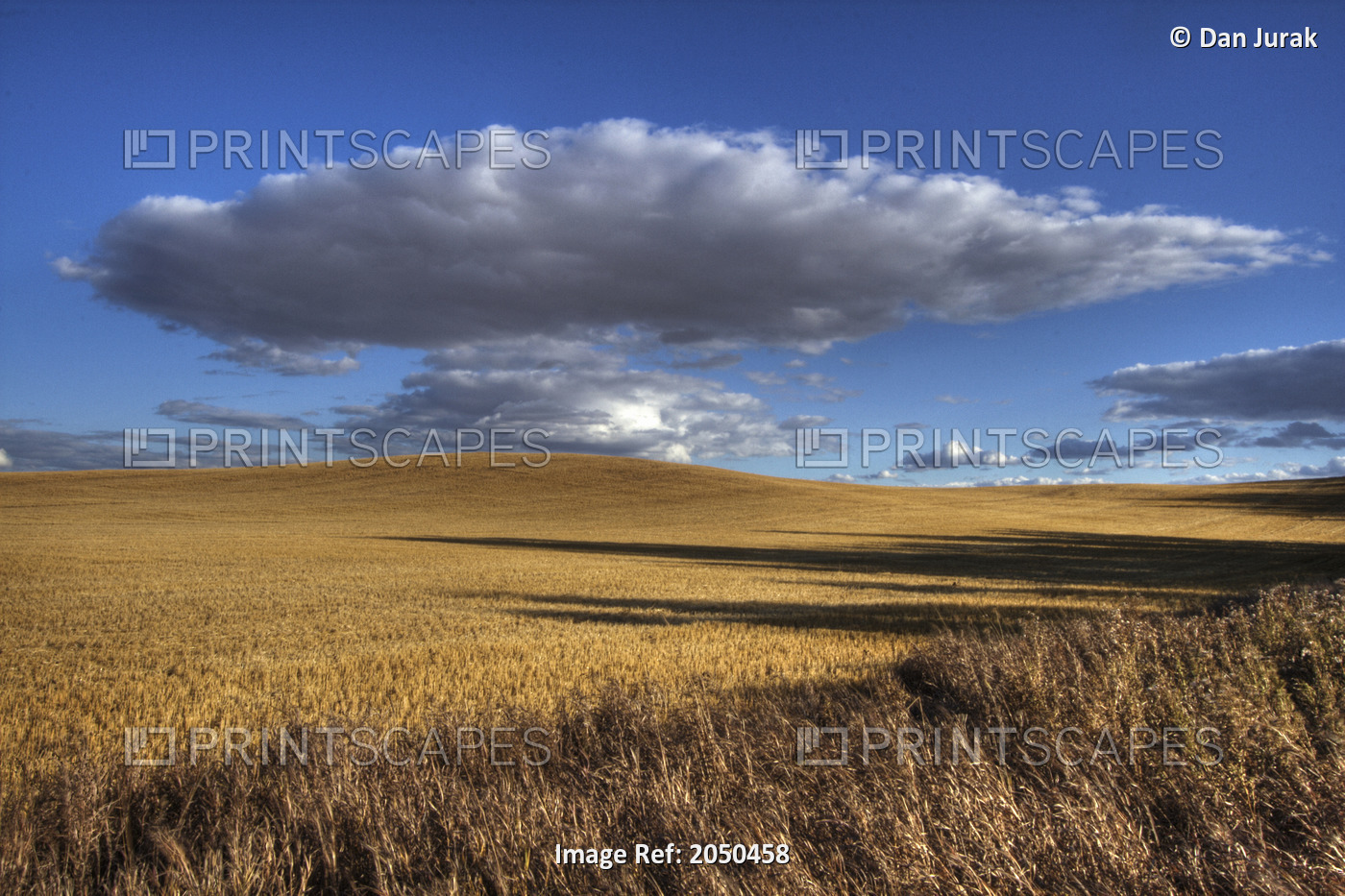 Clouds Over Harvested Wheat Field, Near Bon Accord, Alberta