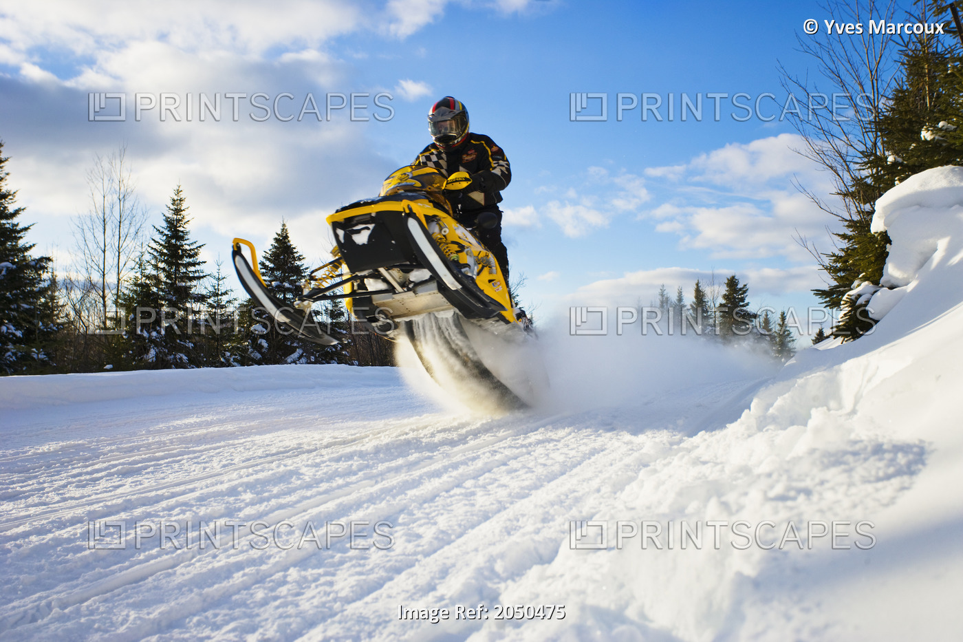 Snowmobile In Action, Chaudiere-Appalaches Region Quebec