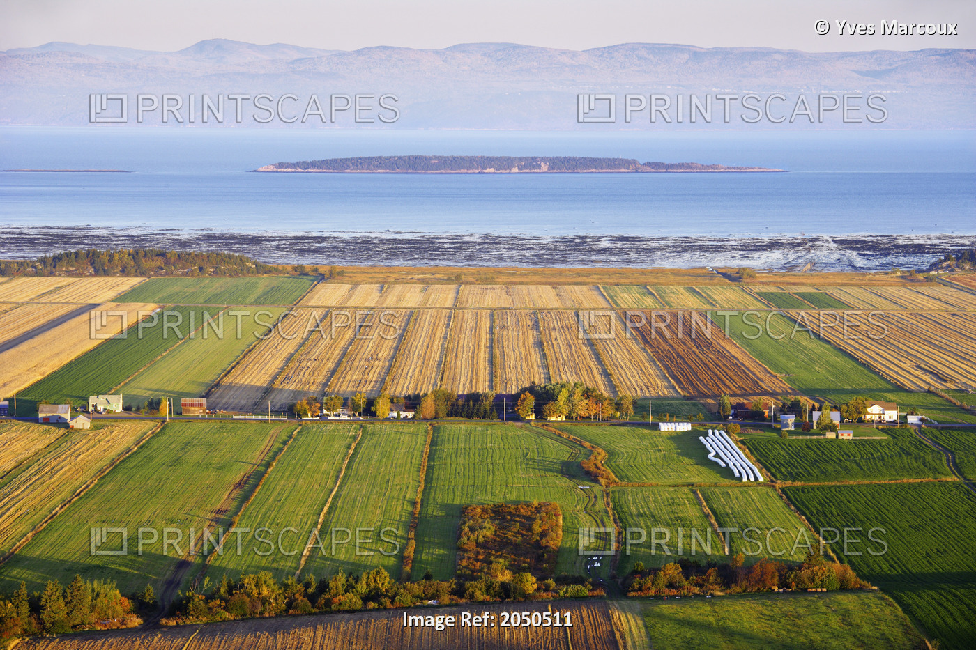 Artist's Choice: View Of Fields, Farms And St. Lawrence River At Sunrise, ...