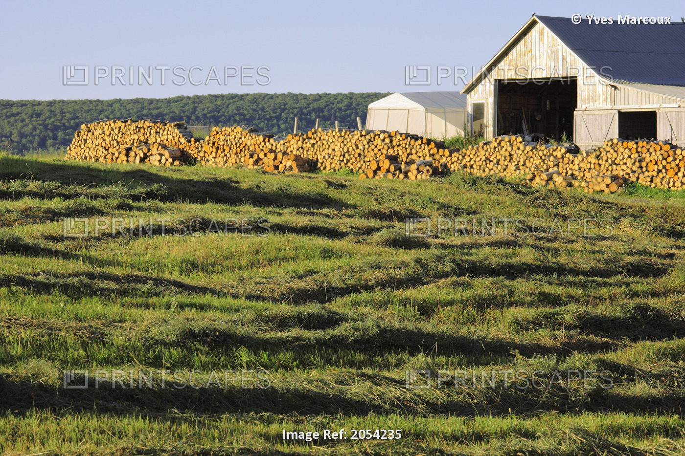 Artist's Choice: Fields, Shed And Stack Of Logs, Bas-Saint-Laurent Region, ...