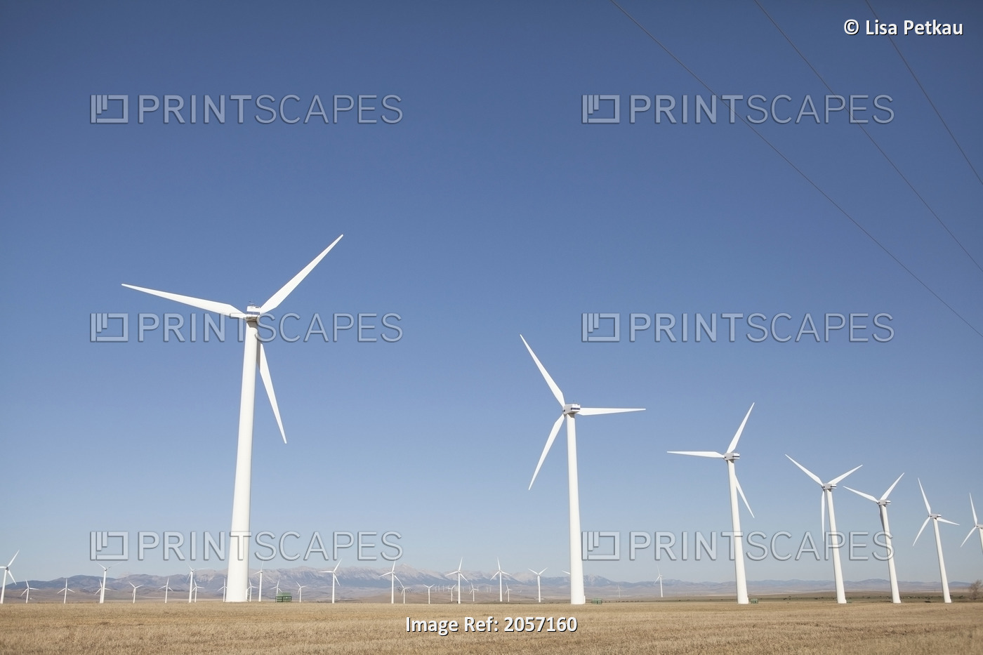 Wind Generators. Near Pincher Creek, Alberta