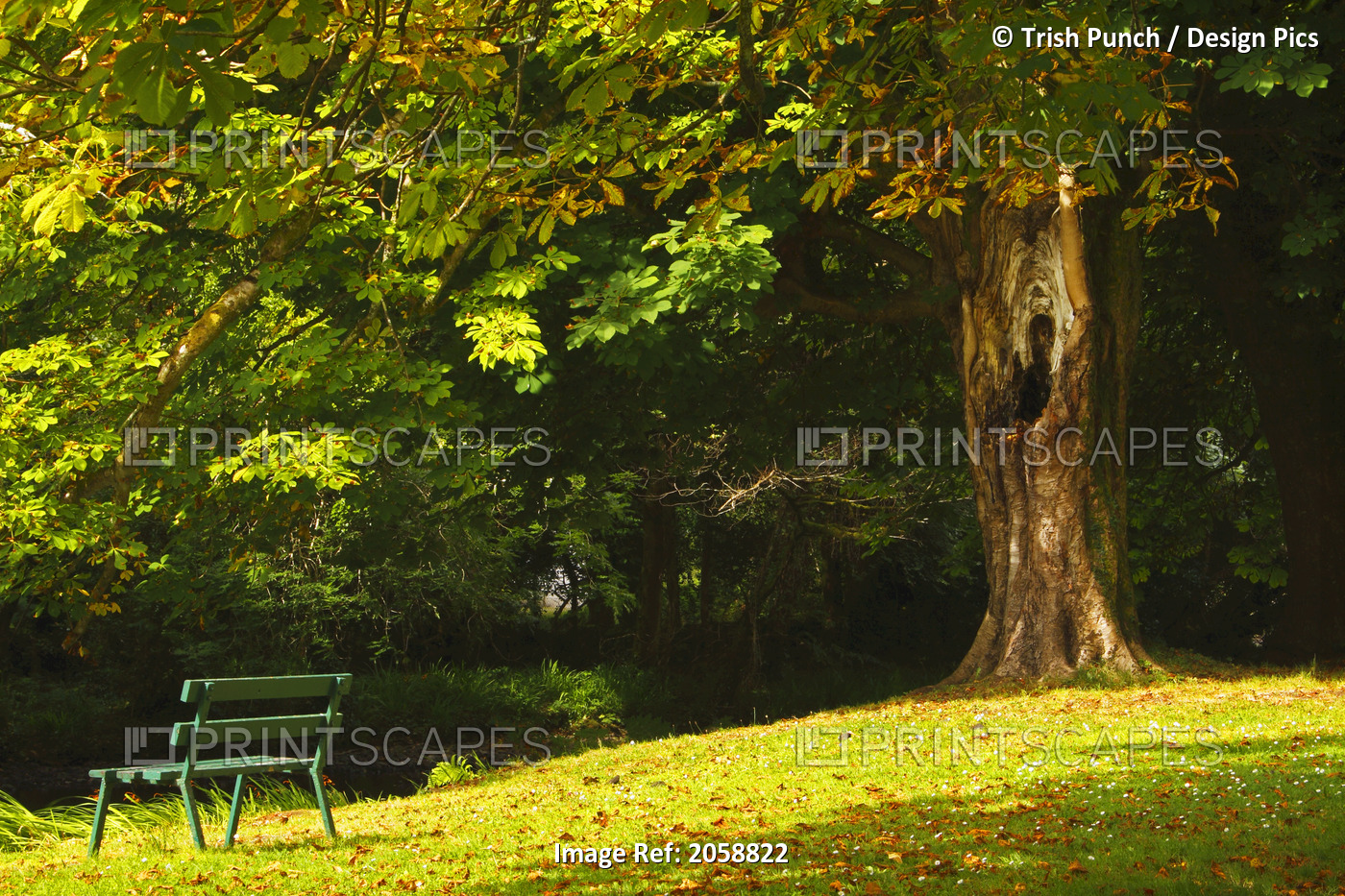 Park Bench Beside The Owenriff River In Oughterard Village; County Galway, ...