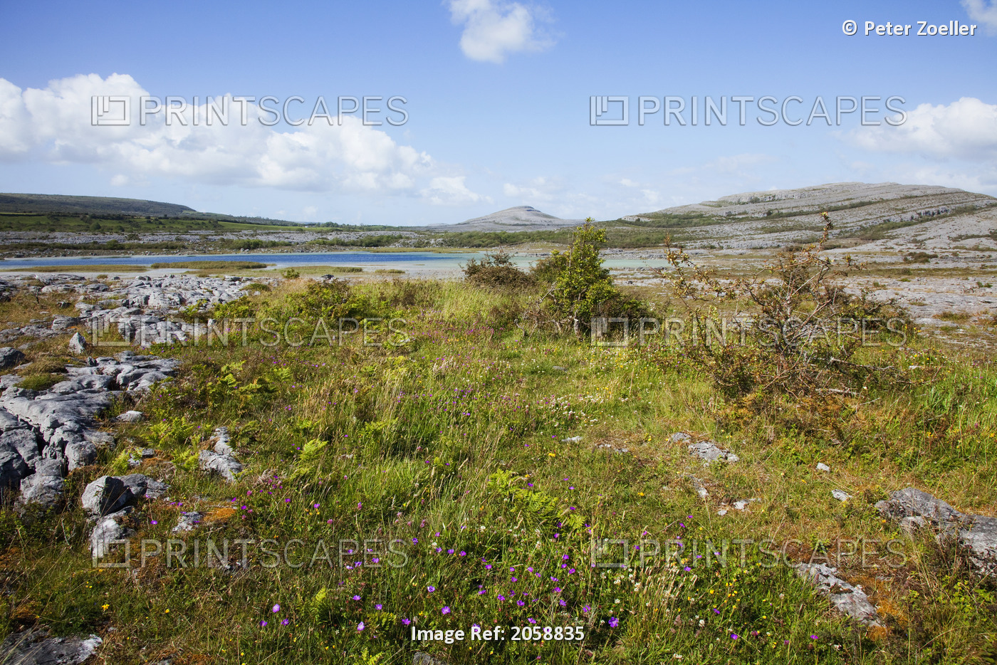 Landscape Of The Burren; County Clare, Ireland