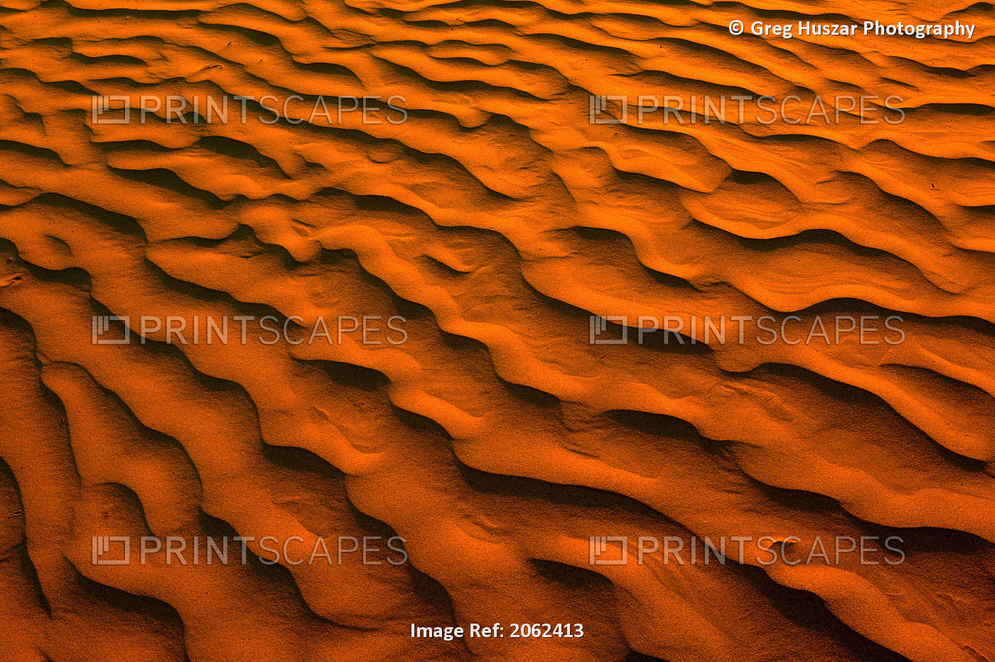 Desert-Like Conditions In The Fragile Ecosystem Of The Great Sand Hills Of ...