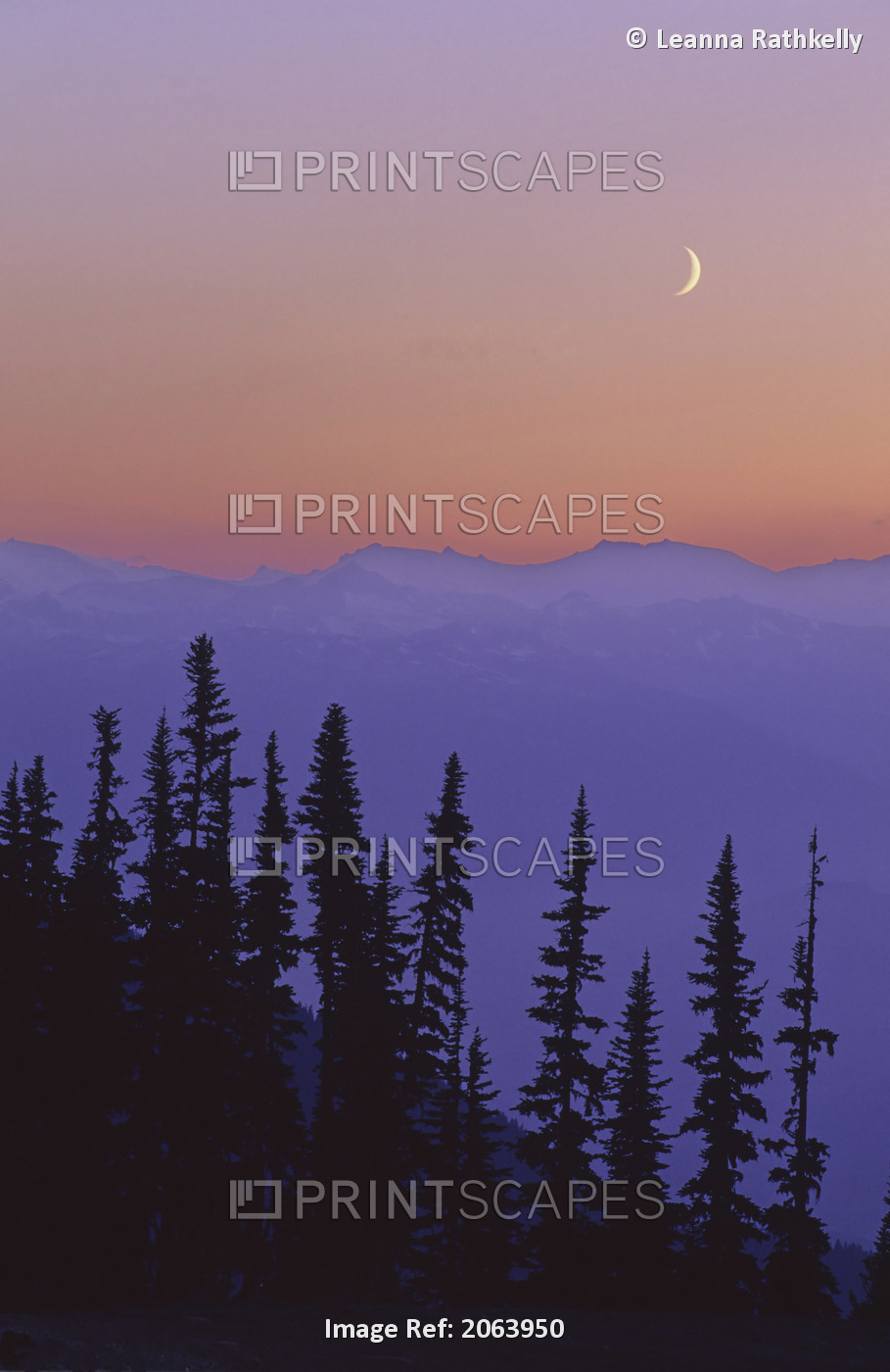 Crescent Moon Rises In Sunset Over Mountains, Whistler, Bc Canada