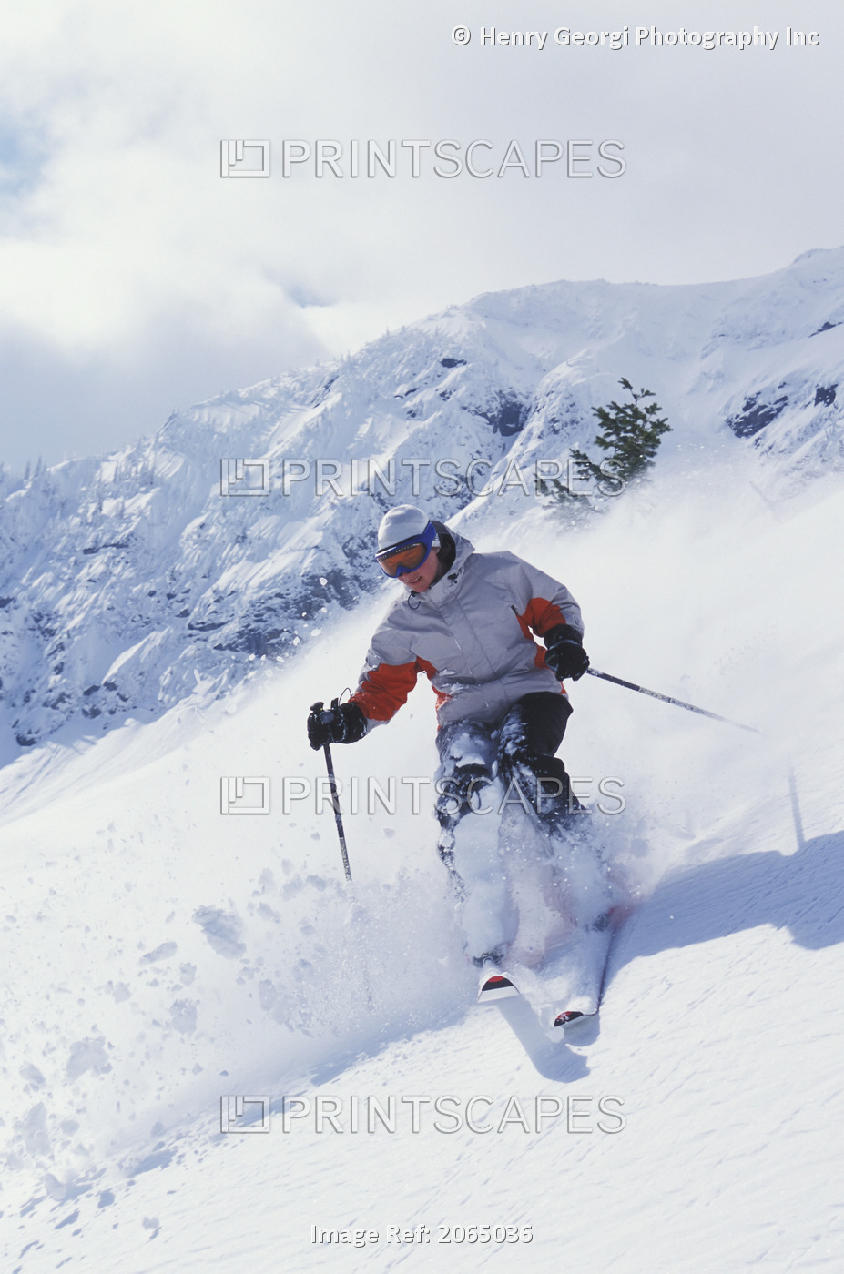 Young Woman Skiing Fresh Powder At Fernie Alpine Resort, Fernie, British ...