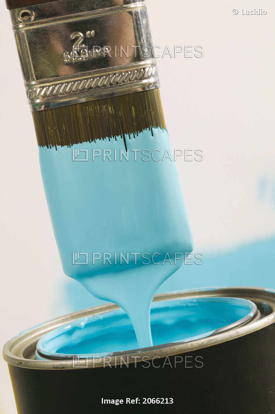 Small Paint Brush Dipped In Paint, Canada, British Columbia