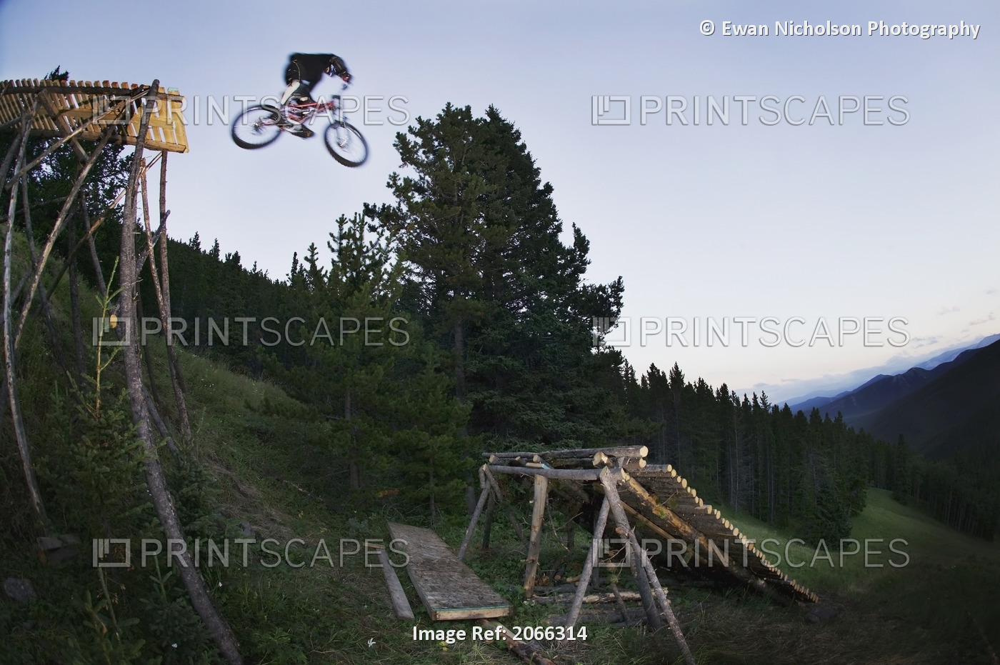 Mountain Biker Jumping From Wooden Ramp On To Log Ramp; Canada, Alberta, Moose ...