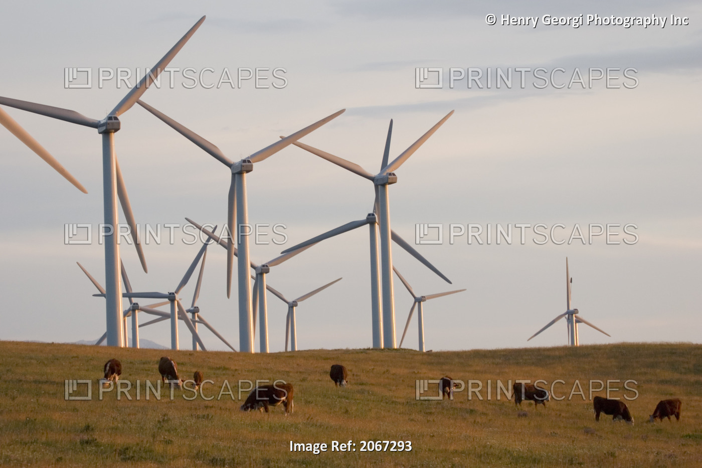 Windmills Used To Generate Electrical Power At Cowley Ridge In Southern ...