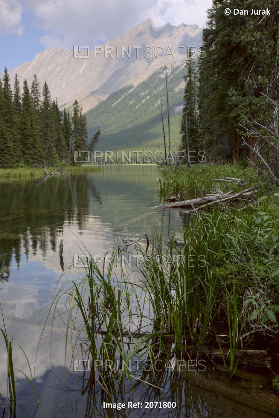 Reflections On Beaver Lake, Jasper National Park, Alberta